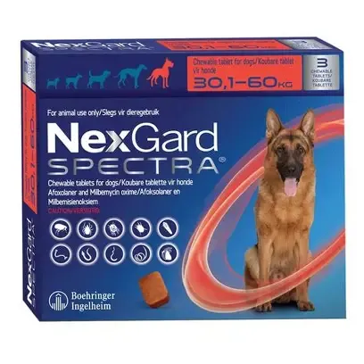 Pharmaceutical Asset