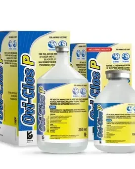 Pharmaceutical Asset