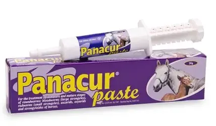 Pharmaceutical Asset